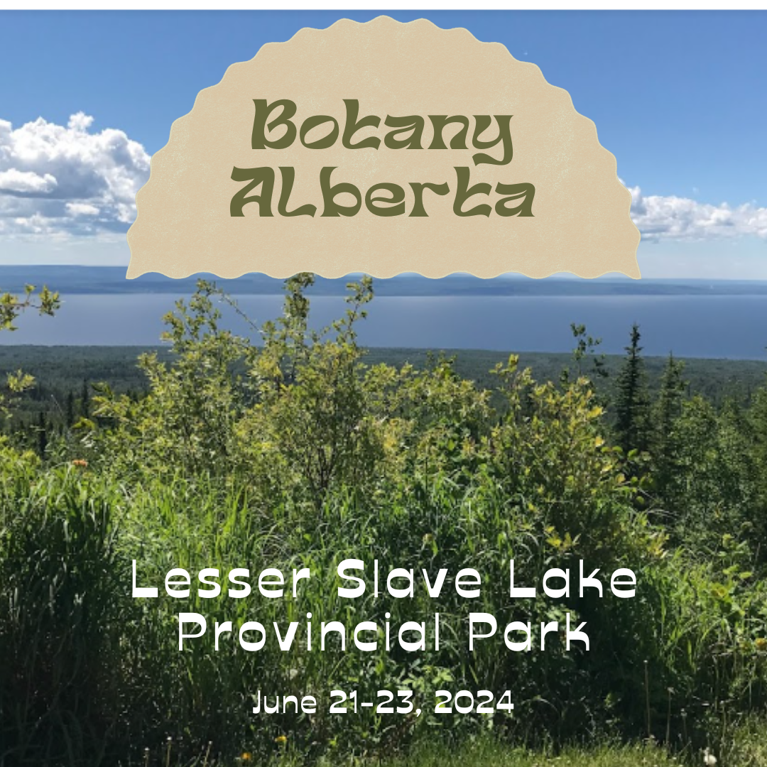 June 21-23, 2024 Botany Alberta: Lesser Slave Lake Provincial Park