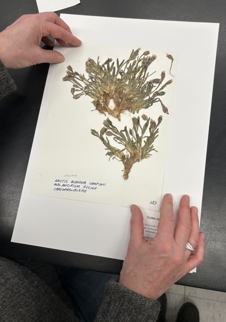 December 6th, 2025 – Calgary Plant Study Group