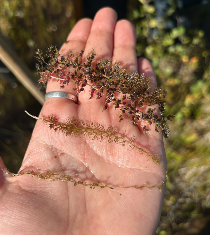 April 14th, 2026 Special Feature Webinar