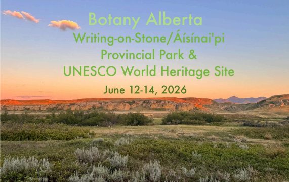 June 12-14, 2026 – Botany Alberta at Writing-on-Stone Provincial Park