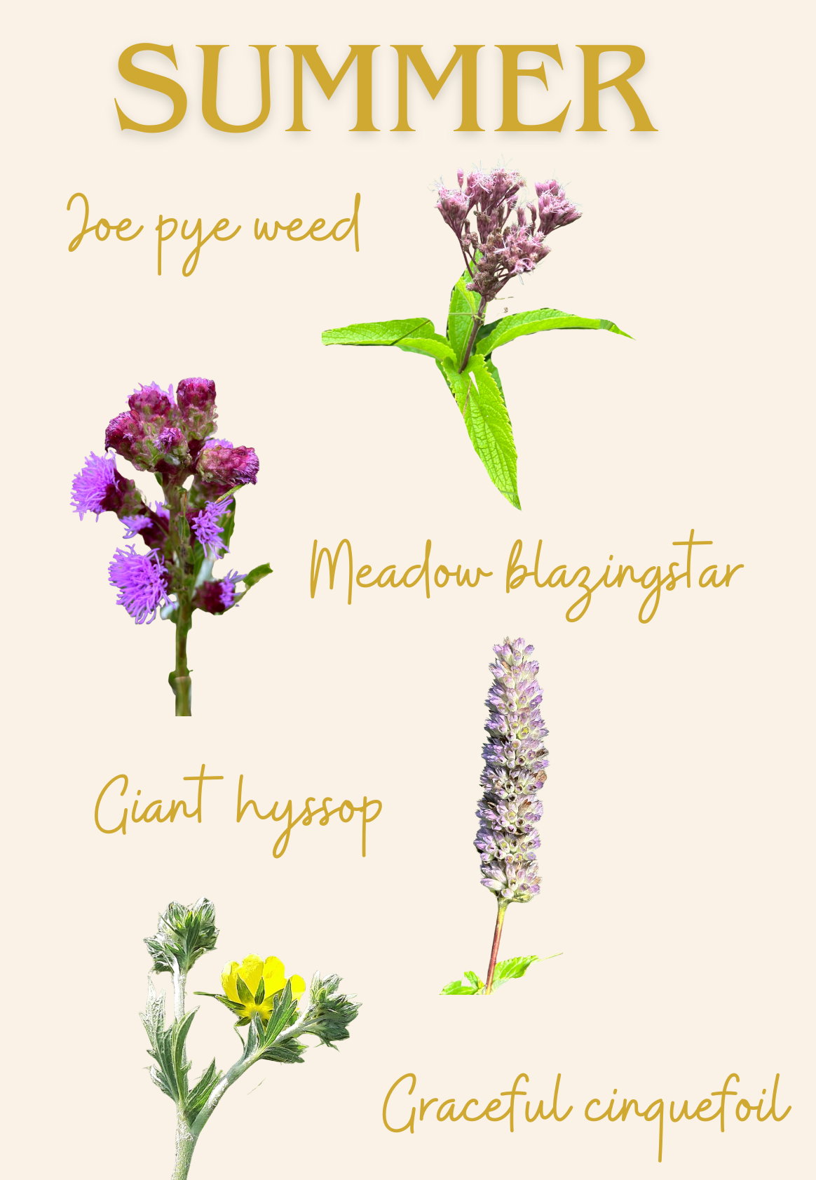 Recommended Plant Lists by Natural Region